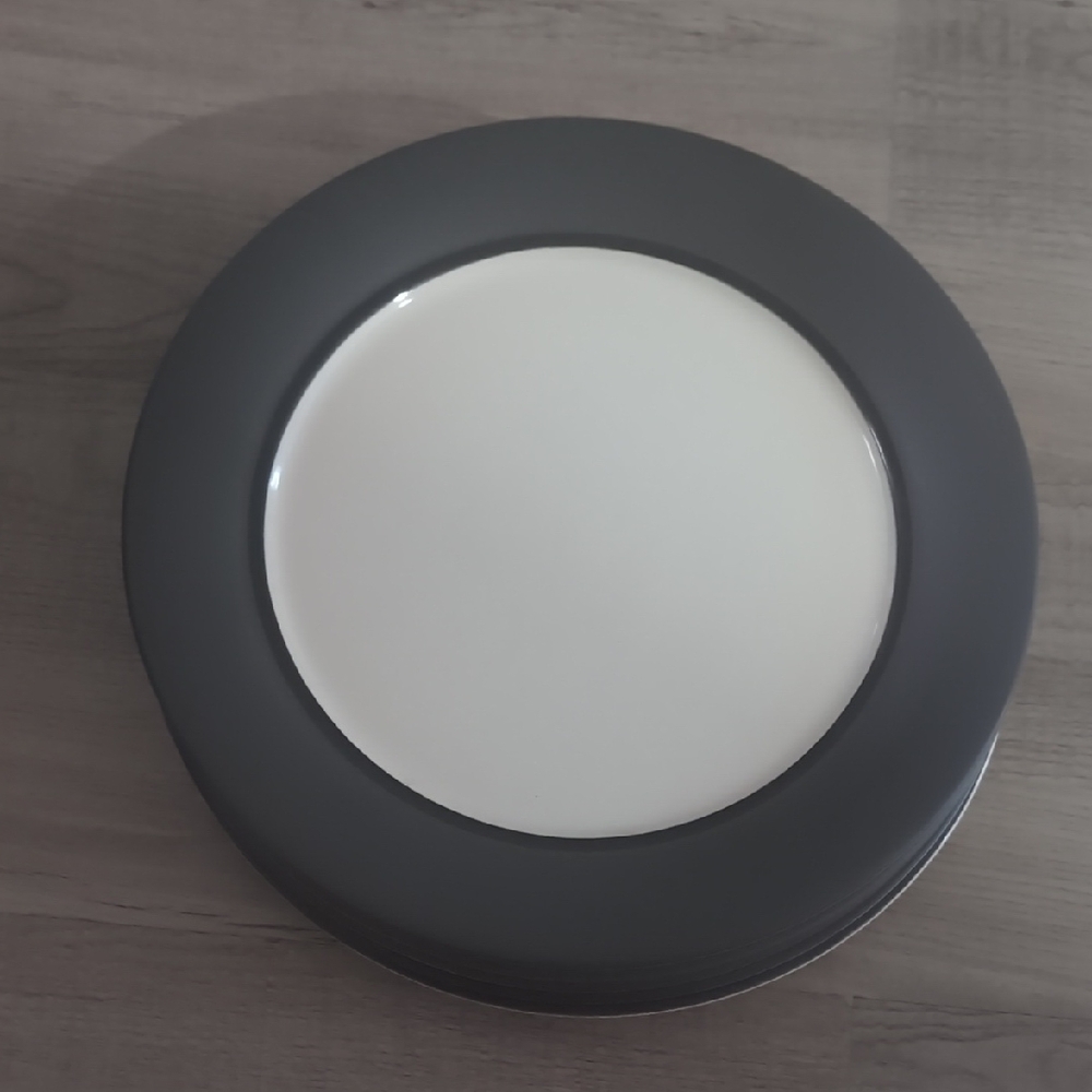 Gray and White Dinner Plates